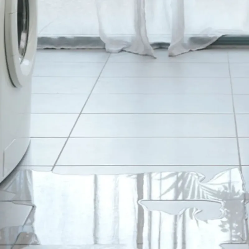 Appliance Leak Cleanup in Indian Rocks Beach, FL